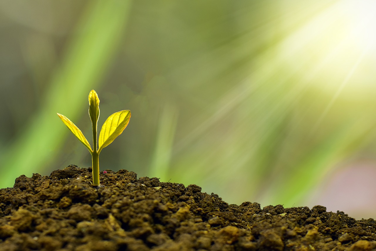 Hope in OCD Recovery