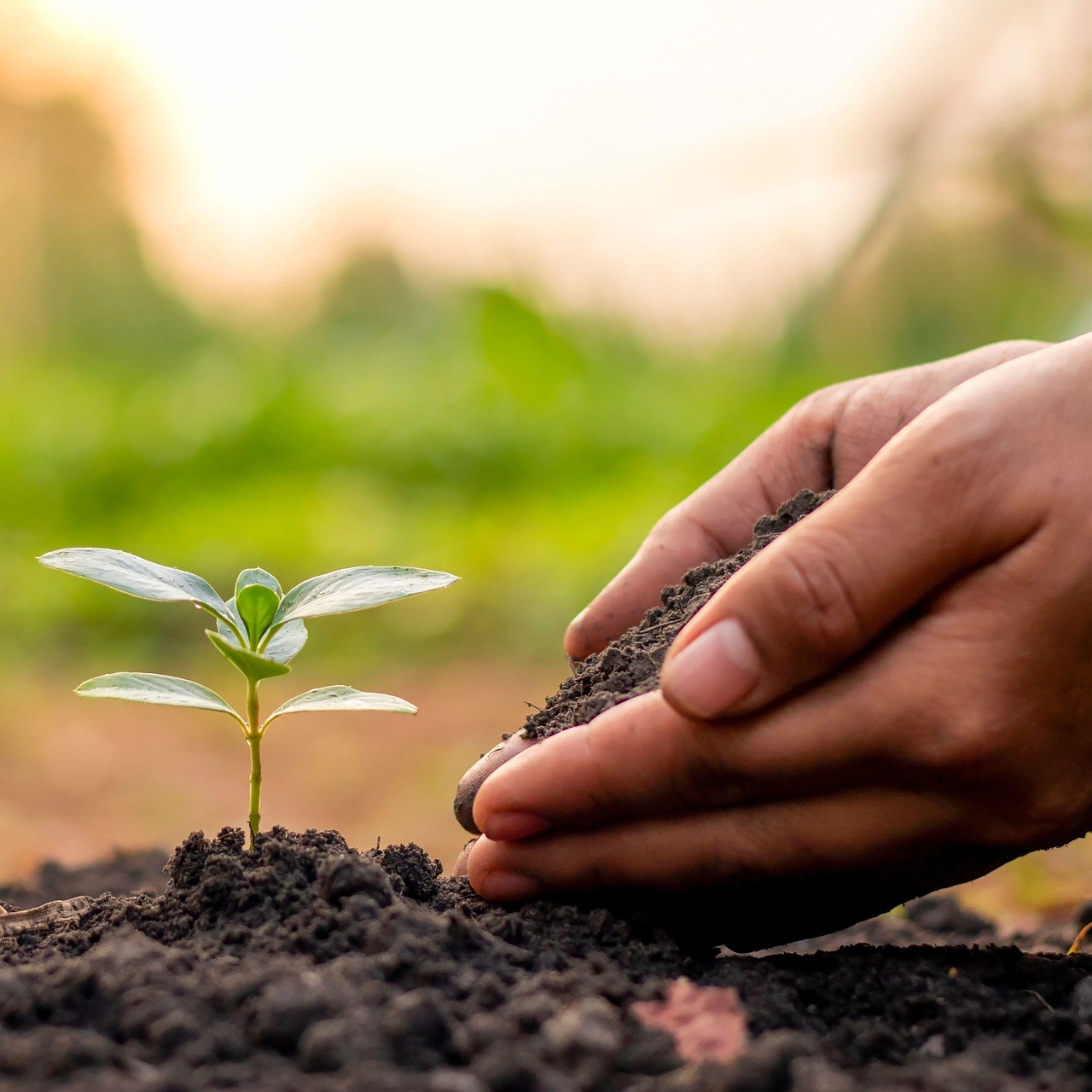 What Happens After the Exposure?